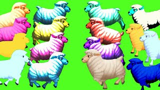 How to download Sheep Green screen Video ! 15 Multiple Colors ! HD Quality 1080 No Copy Right Claim