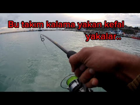 Adana karataş liman içi kefal avı.. Bu takım sadece dev kefal yakalar...