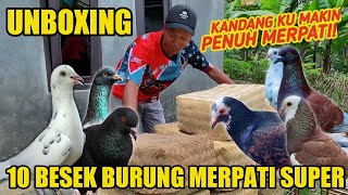 UNBOXING 10 BESEK MERPATI SEKALIGUS! BERUNTUNG BANGET! LANGSUNG COBA TES TERBANG