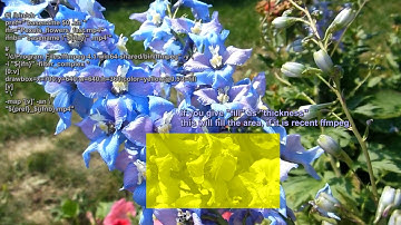 Examples of visualization of video data with ffmpeg - drawbox