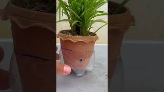 How to cut bottles to support plant pots to prevent water from flowing out #tvplayideas #plant