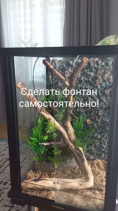 Фонтан для хамелеона своими руками # поилка для рептилии - YouTube
