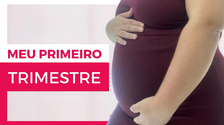 Como foi meu primeiro trimestre | Dirio de gravidez