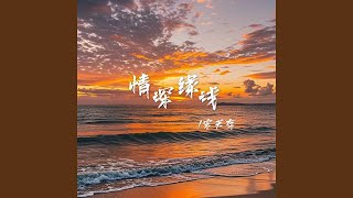 情深缘浅
