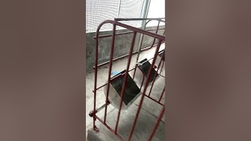 Lỗi khi dựng chuồng