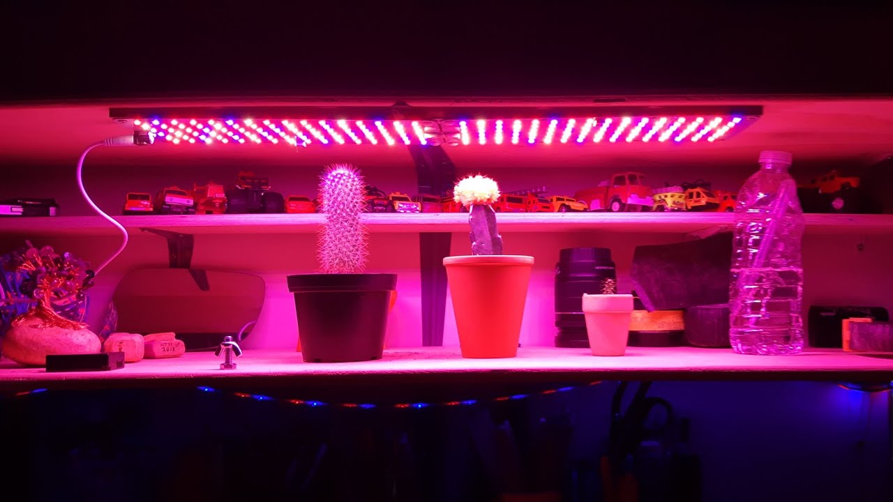 DIY Succulant Grow Light 