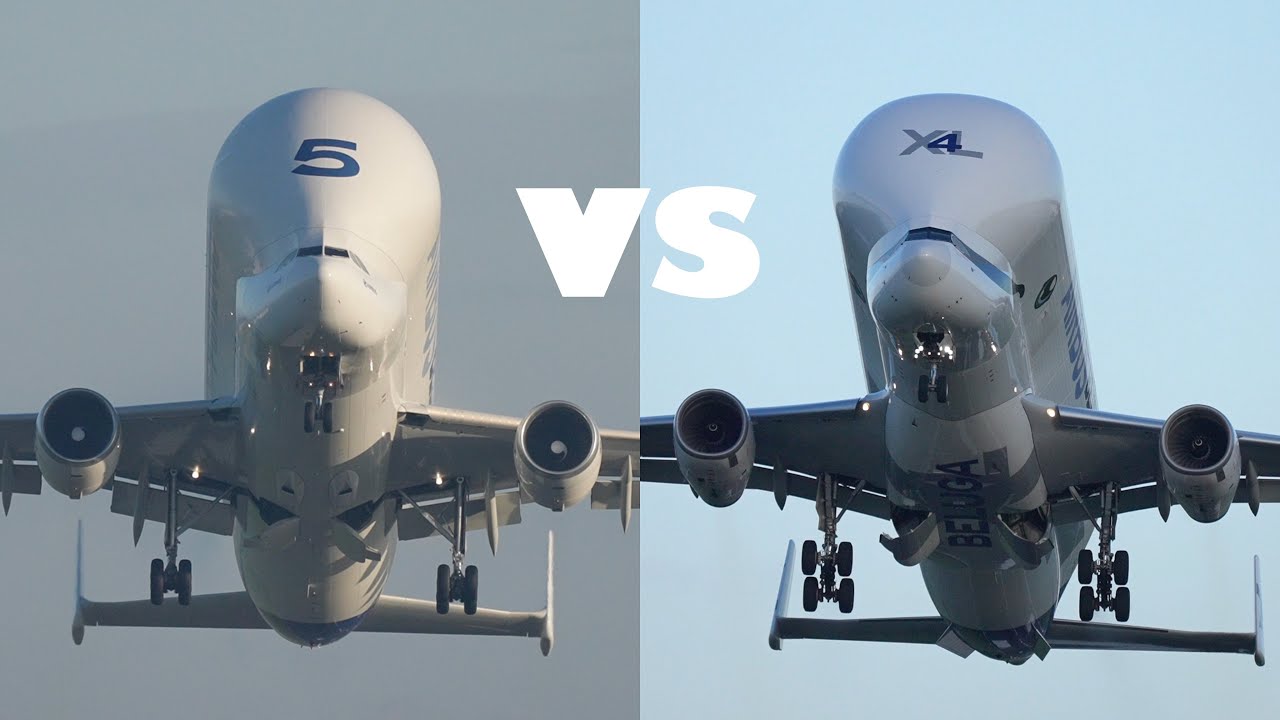 Airbus Beluga ST vs Beluga XL - Which Strange Looking Plane Is Best ...