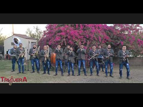 BANDA TRIGUERA -