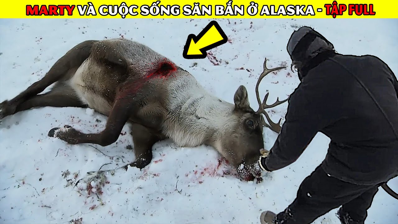 [ TẬP FULL ] Marty Và Cuộc Sống Săn Bắn Ở Vùng Núi Alaska Lạnh Giá