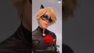 Cat🐈‍⬛🐈‍⬛🐈‍⬛ #ladybug #chatnoir #cosplay #lady #love #lovestory #france