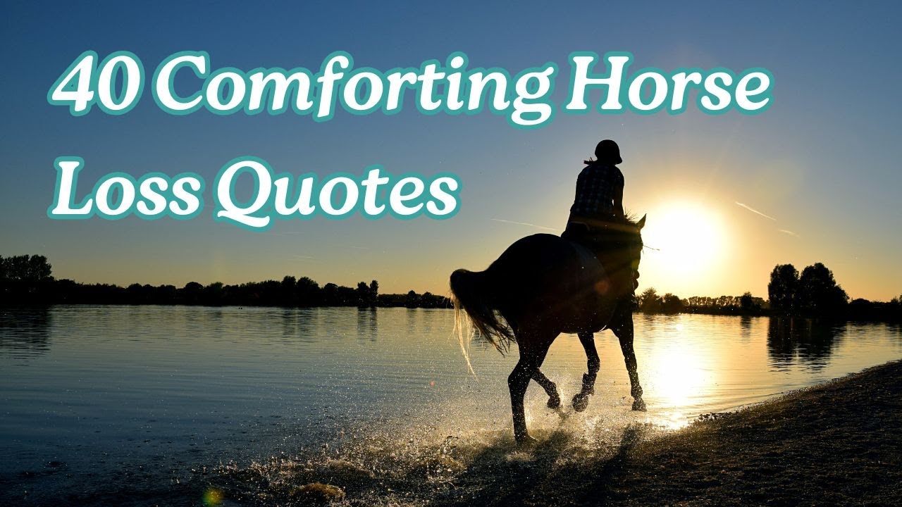 40 Heartfelt Horse Loss Quotes to Help You Heal