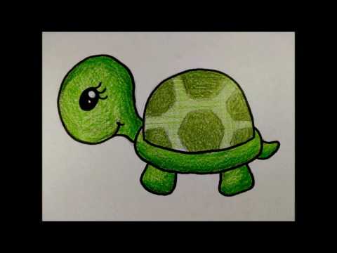COMO DESENHAR UMA TARTARUGA FOFA DESENHOS FACEIS SIMPLES