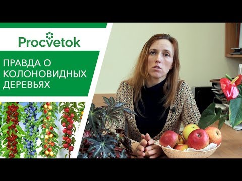 Видео: Почему в Северной Дакоте не растут деревья?