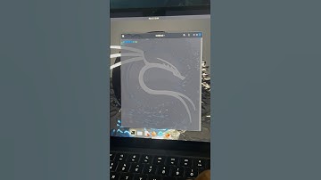 Wordpress hack tool #codaphics #wordpresshack #cybersecurity #ethicalhacking #hacker #kalilinux