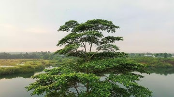 104 سورة الهمزة - صوت الشيخ ياسر الدوسري