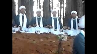 Al mujaddid-pulau pinus(sedikit cuplikan rekaman)