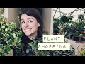 Houseplant Shopping Vlog &amp; Haul!