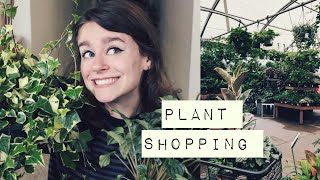 Houseplant Shopping Vlog &amp; Haul!