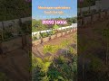#farming plots in shadnagar Hyderabad #agriculture  lands near Hyderabad