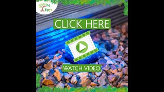 Famous Epyz Solar Glass Brick Light | Ice Cube LED Crystal Stone Lamp Garden | Courtyard | Pathway Net Worth