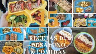 15  Desayunos Y Comidas  PARA NIÑOS DE 1 AÑO EN ADELANTE // FÁCIL Y SALUDABLES