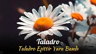 Taladro  (Yara Bandı)                 #youtube #youtubeshorts #youtubevideo #taladro @YouTube Resimi