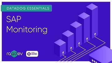 SAP Monitoring I RapDev Overview