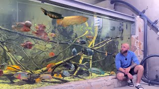 XXL Aquarium Technik: Mein Komplettes 21.000L Setup Im Detail | Heizung, Beleuchtung & Smart Home
