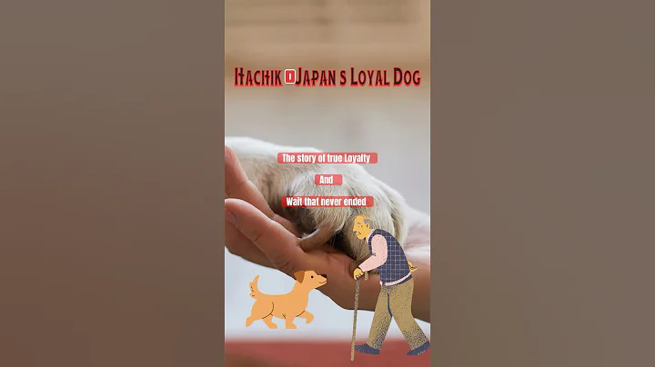 🐾 The Heartbreaking True Story of Hachikō | Japan’s Most Loyal Dog 🇯🇵💔