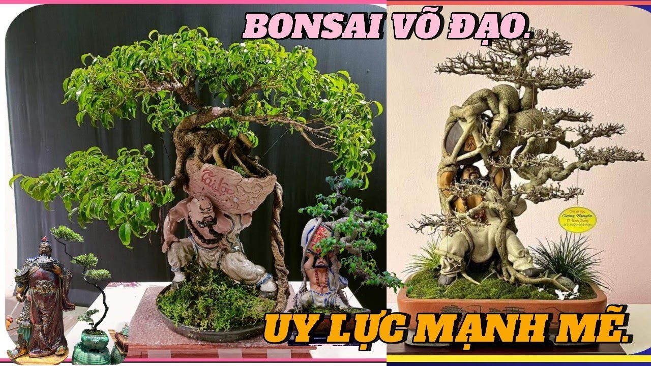 Cây bonsai phối tượng