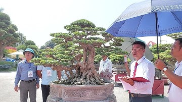 VINH DANH 20 TP XUẤT SẮC TẠI TRIỂN LÃM BẮC NINH 2022 .