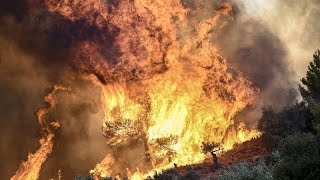 Incendies en Europe : vingt morts en Grèce, les feux bientôt stabilisés en Espagne
