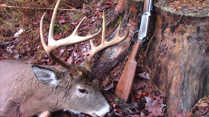 Quest for 200- "High Noon, The Lunch Break buck" (...