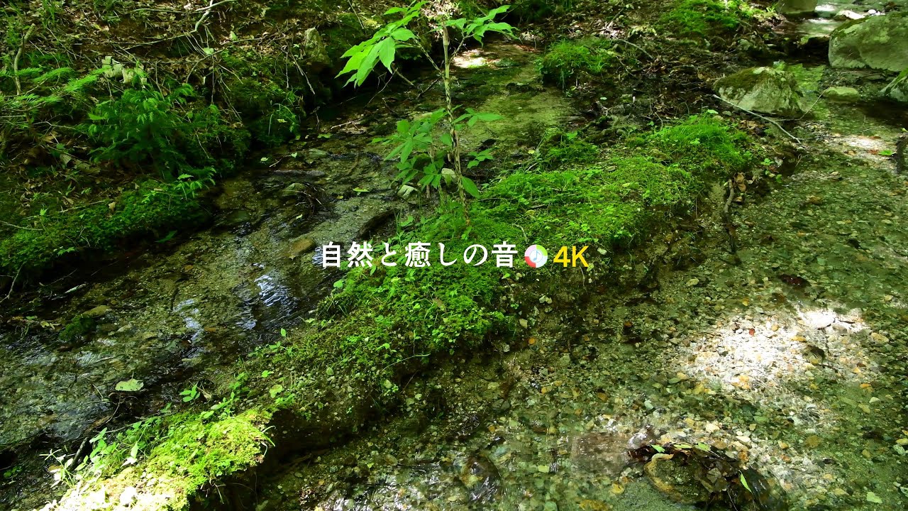 【自然の音】小川のせせらぎ、癒し、睡眠、リラックス、作業用BGM/River Sound/stream/Nature Sounds/ASMR ...