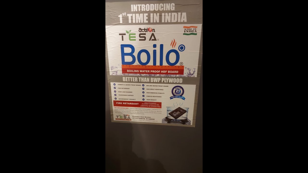 Unleashing the Ultimate Protection:  BOILO-BWP (Fire-retardant, Termite Borer Proof) 