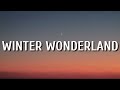 Miniature de la vidéo de la chanson Winter Wonderland