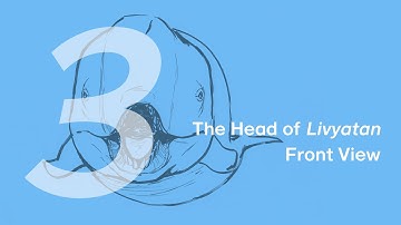 Requena the Livyatan 3: The Head in Front View | Learn to Draw Marine Animals with ZHAO Chuang