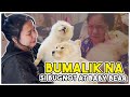 VLOG 152 NAKAUWI NA MGA BABY KO | BUGNOT AND BABYBEAR