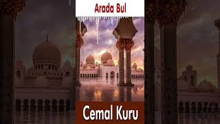 Arada Bul - Cemal Kuru Resimi