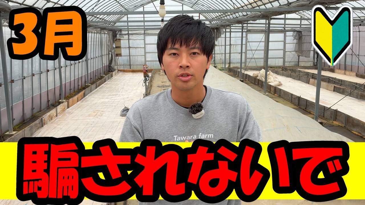 【家庭菜園】初心者の方は1番騙されやすいので気を付けて下さい。