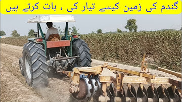 MF375 working with 16 offset discs Harrow in seeds beds , tilling soil