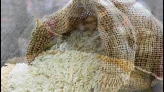 سعر شيكارة الأرز 25 كيلو اليوم اخر تحديث 2023