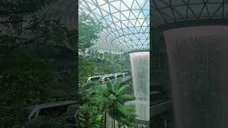 Wonderland@Jewel Changi:Exploring a Paradisejewelchangi  travelsingapore travelvlog  singapore