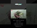한겨울 오름수위 붕어낚시 #SHORTS  #겨울 붕어낚시 #무료낚시터