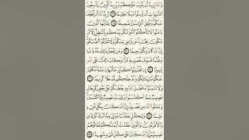 سورة النساء | قراءة من المصحف الشريف - الجزء 5 (من الآية 24 إلى 147)