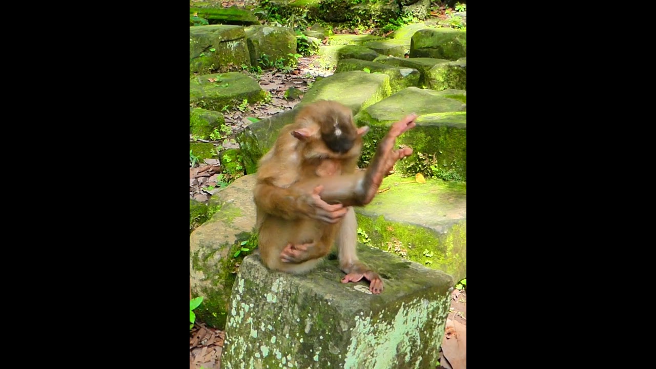 what Happen on new abandoned just found in wild