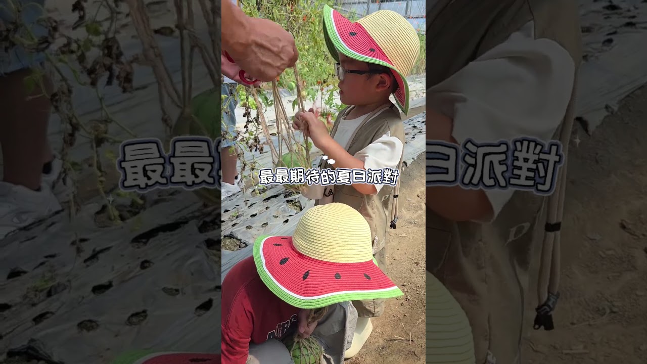 桃園 | 香草野園-夏日小西瓜採收+剉冰體驗 #農遊超市 #玩農場上農遊超市 #桃園旅遊 #農業體驗 #親子旅遊 #西瓜 #水果旅行 #桃園 #節氣農遊 #季節限定 縮圖