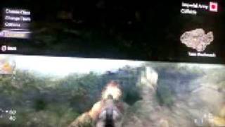 Cod5: Pink Tree Glitch #2