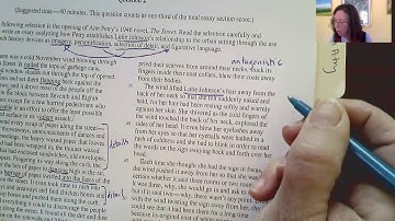 Close Read of the 2009 AP English Literature Question 2 Ann Petry