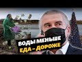 Воды меньше, еда – дороже. 2020 год для Крыма | Крым за неделю